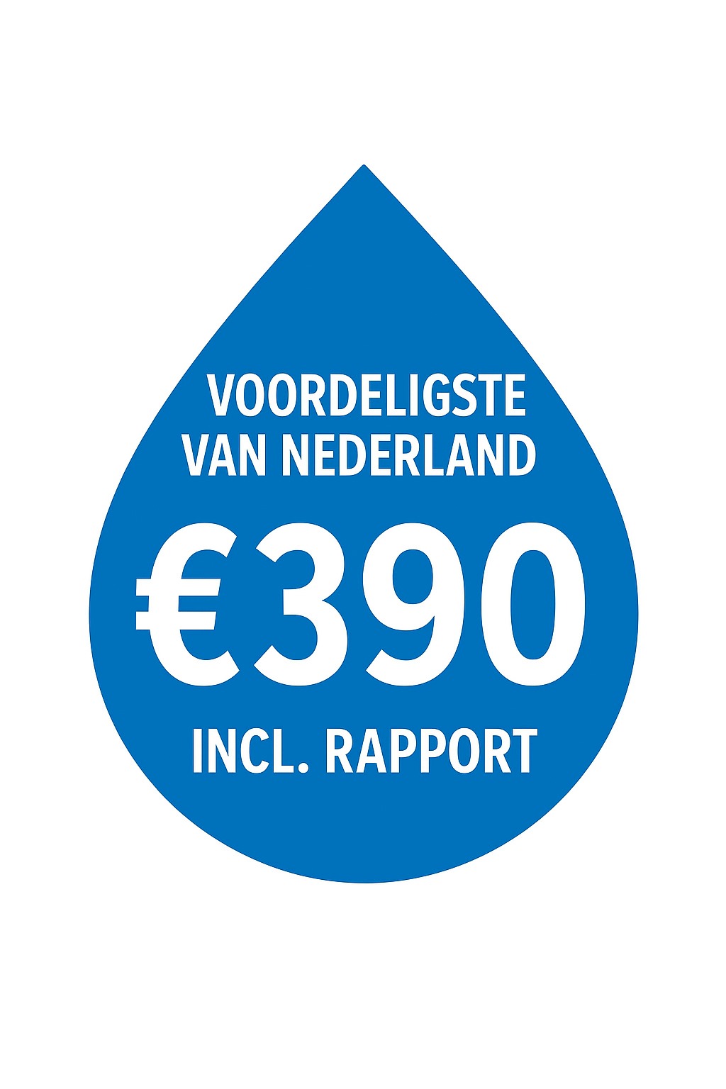 Professional plumbing team